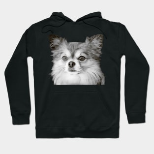 Cute dog - Chihuahua Hoodie